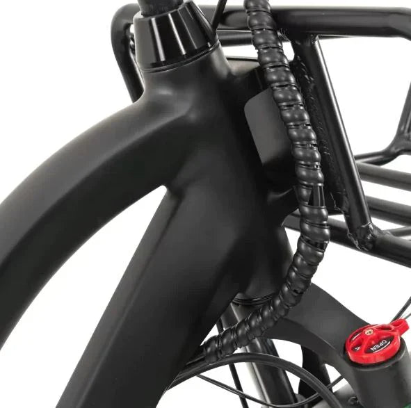 GoBike Forte - Electric Tricycle - Trike
